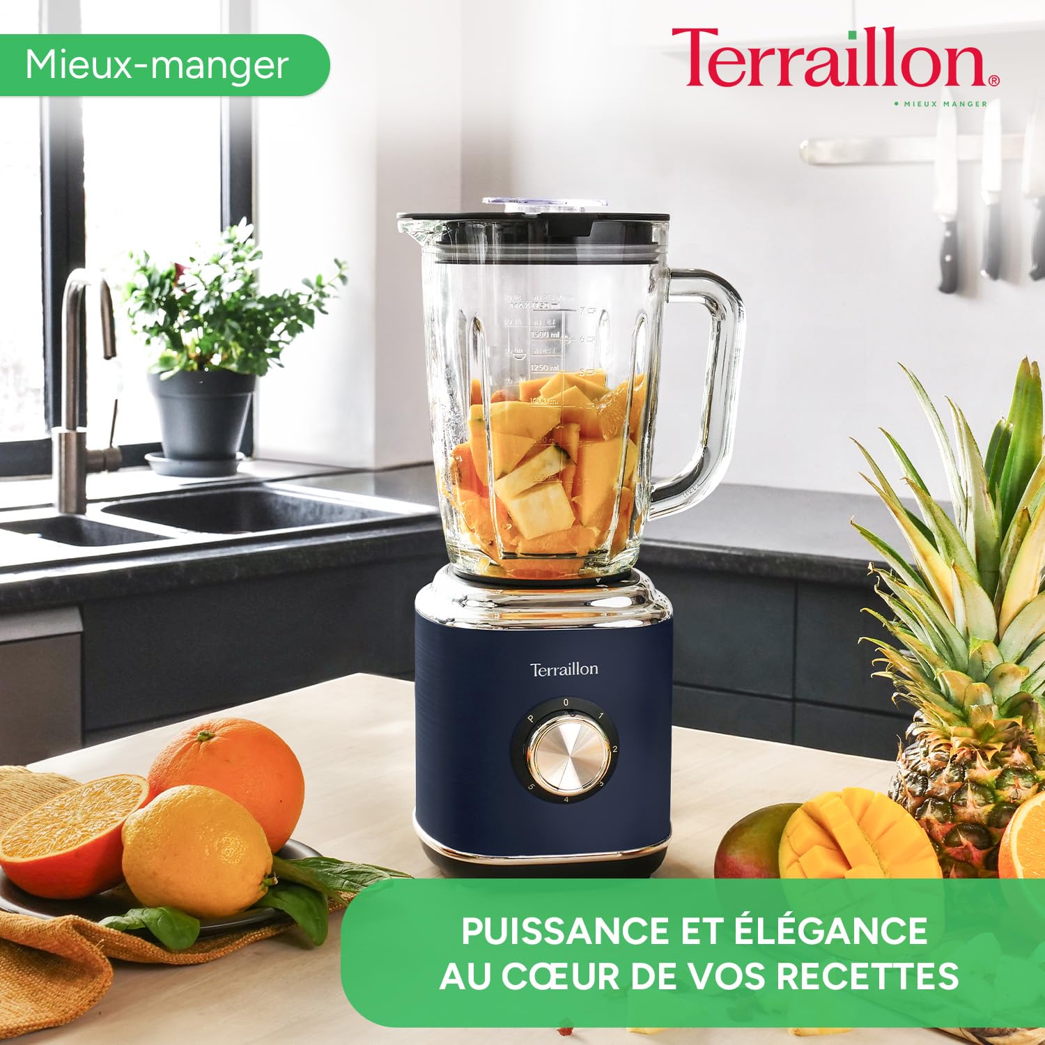 terraillon-new-moon-blender-1-75-l-600-w-bol-en-verre-5-vitesses image 2