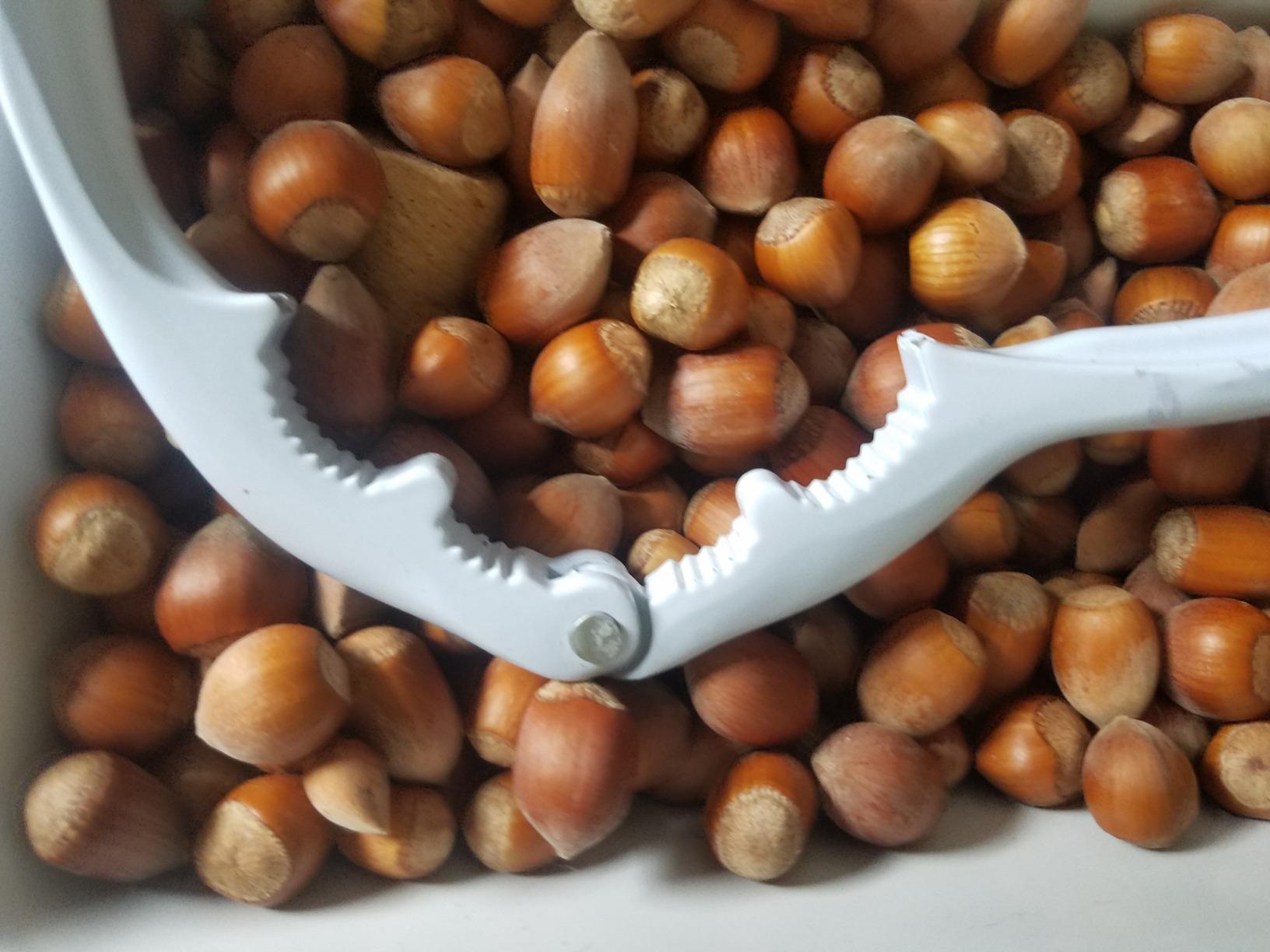 Très robuste