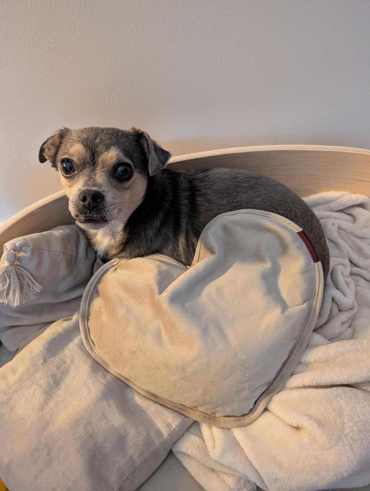 Bonne bouillotte, mais charge un peu longue