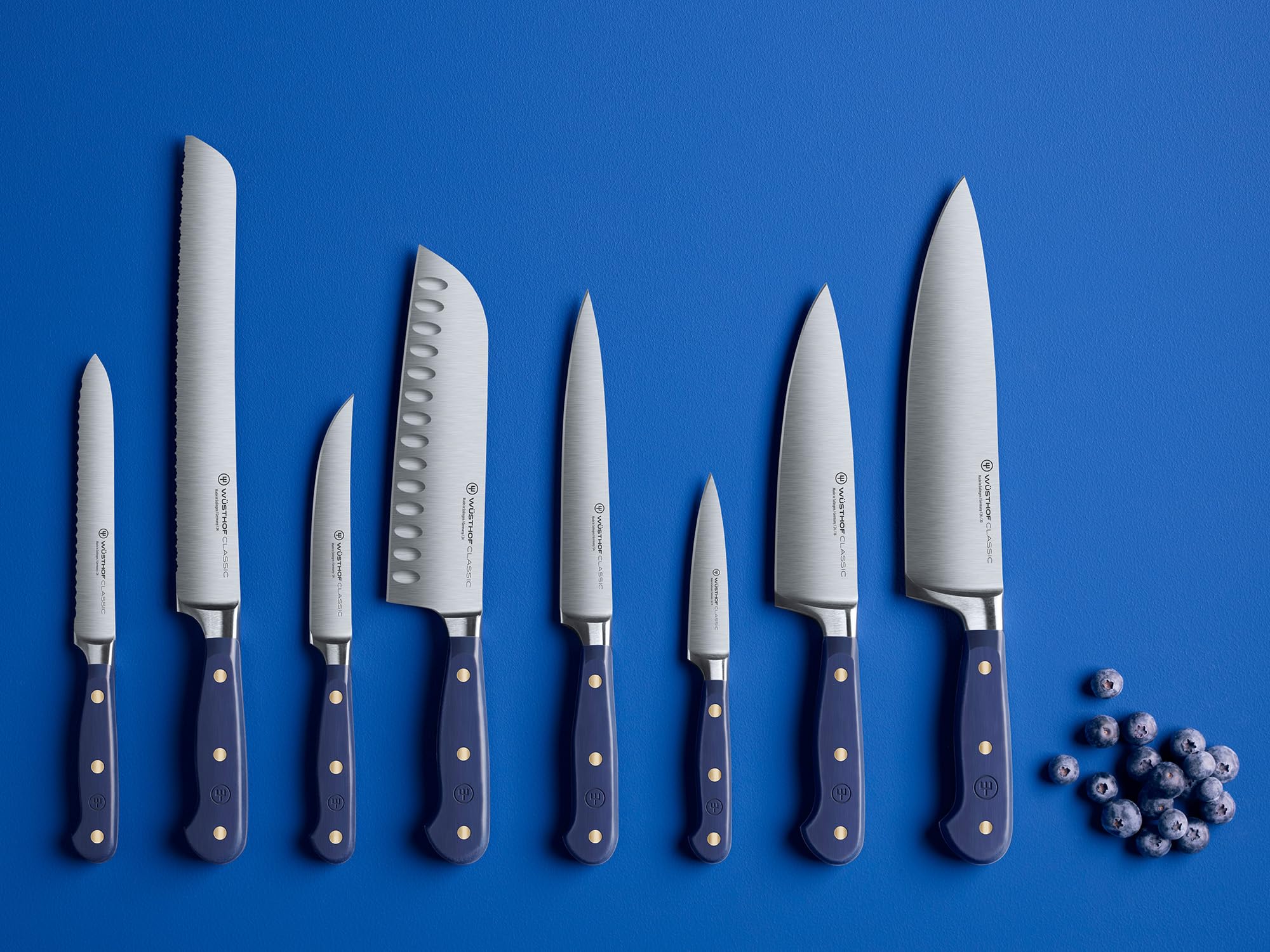 w-sthof-classic-set-de-4-couteaux-steak-12-cm-wild-blueberry image 5