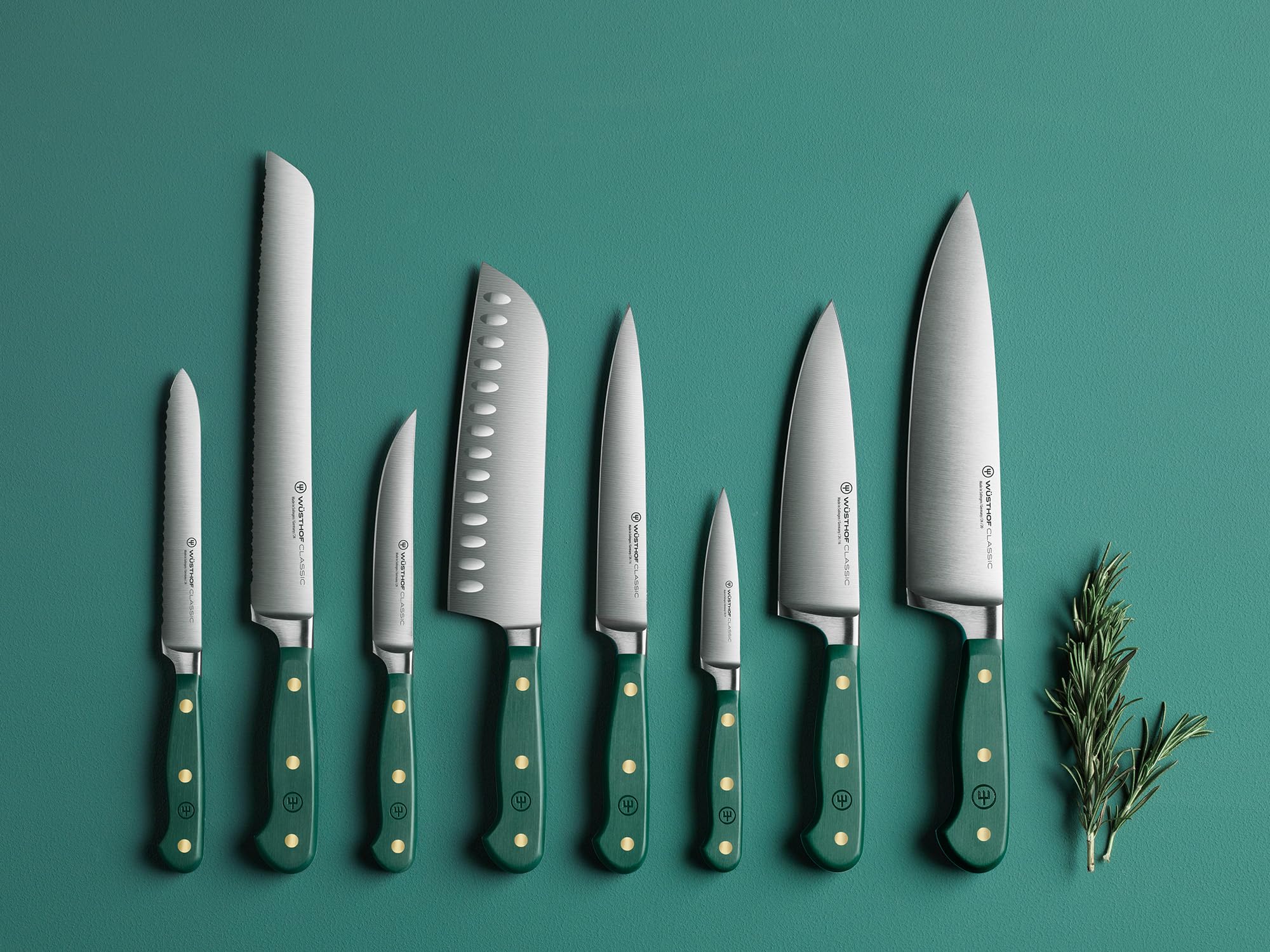 w-sthof-classic-tranchelard-14-cm-lame-crant-e-fresh-rosemary-vert image 5